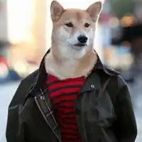 彩云之南福地弥勒手机报第961期