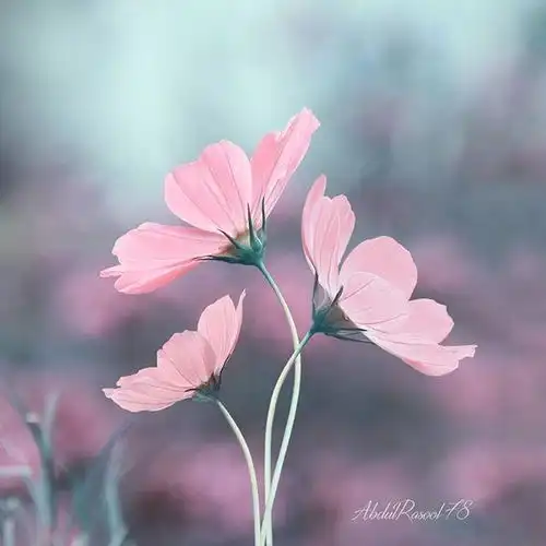 鼓舞人的21句人生格言,句句穿心,话糙理不糙