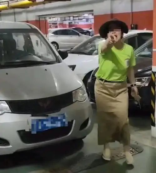 凭啥这么嚣张小狗未牵绳被压伤,女主人直接抡砖,砸坏车子泄愤