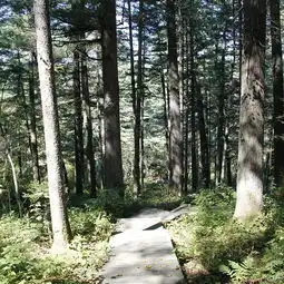 2024大亮子河国家森林公园门票,汤原大亮子河国家森林公园游玩攻略,大亮子河国家森林公园游览攻略路线地址门票价格