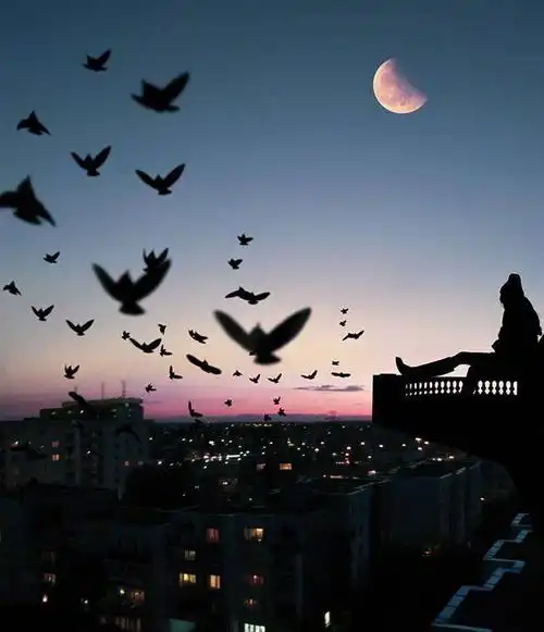 请不要假装对我好,我很傻,会当真