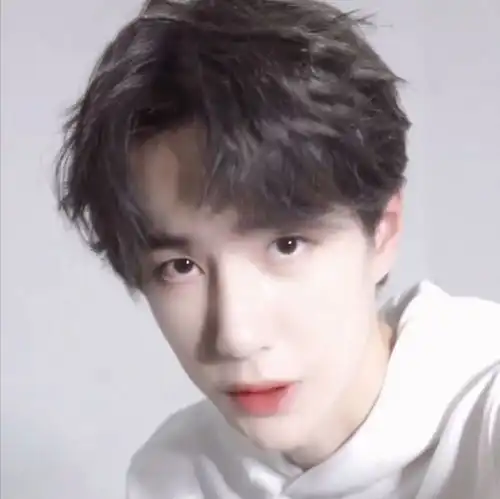 粉丝专属,肖战王一博微信头像