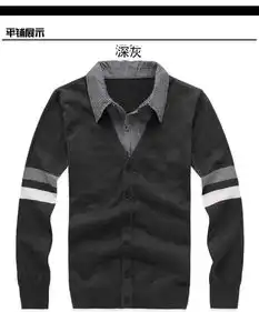 ppz男装秋冬季新款男士休闲套头针织衫男式条纹假两件毛衣yl1207