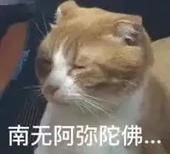 暗黑料理一样的中文菜单翻译,中国人国外吃个饭真心不容易