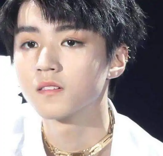 黄子韬是娱乐圈中典型的耳环控,最搞笑的还是要数何老师了