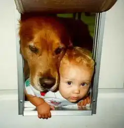 看看这些不靠谱的爸爸们都干了什么