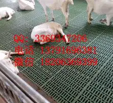 黄页88高清图片