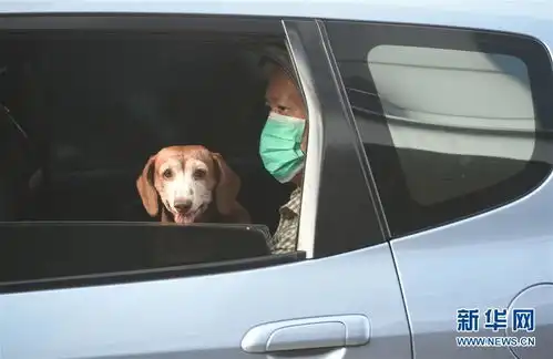 印尼已有百名医生因感染新冠病毒去世