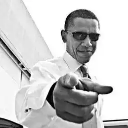 草莓照片草莓相册大全yy官方