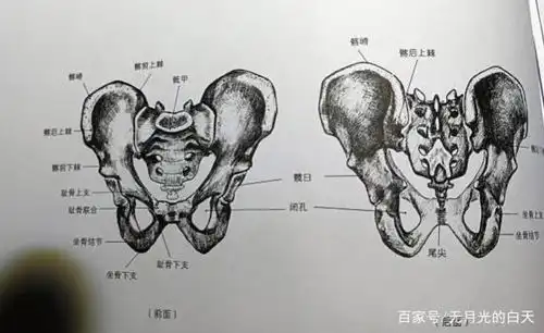 如果发现这些部位有疼痛感,很有可能是已经有了前列腺炎症了