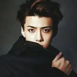 浪漫星星的男女主角选好了吗