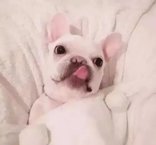 头像,但愿日子清净,抬头遇见的都是柔情