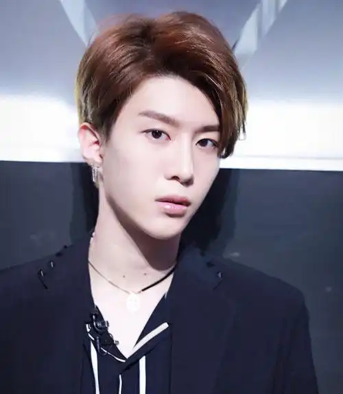 年少时颜值碾压当今内地娱乐圈小鲜肉们的鲜肉鼻祖