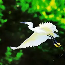 2018盐洲岛旅游攻略门票地址游记点评,惠东旅游景点酒店购物美食推荐去哪儿攻略社区