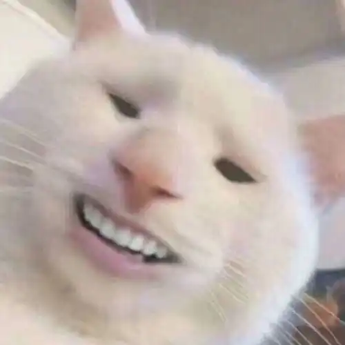 口气很严重,有什么好办法吗