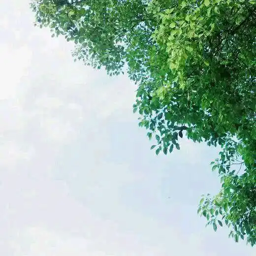 有哪些适合年轻人用的风景头像