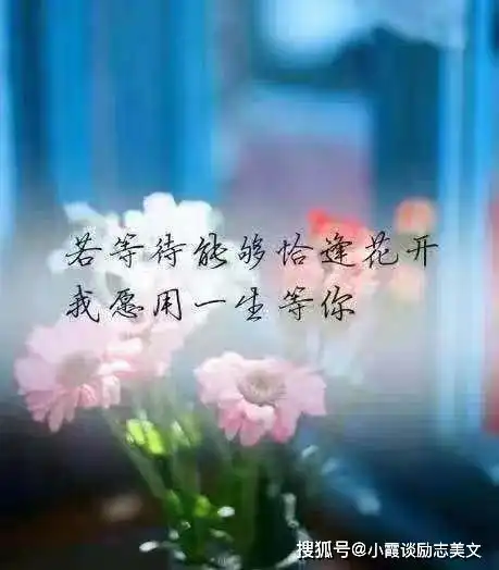 深夜一个人伤感的句子,写的是心酸,读的是孤独