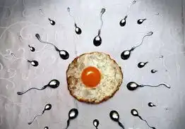 如何提高精子的成活率