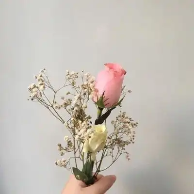 微信头像图片风景花草微信清新头像图片大全