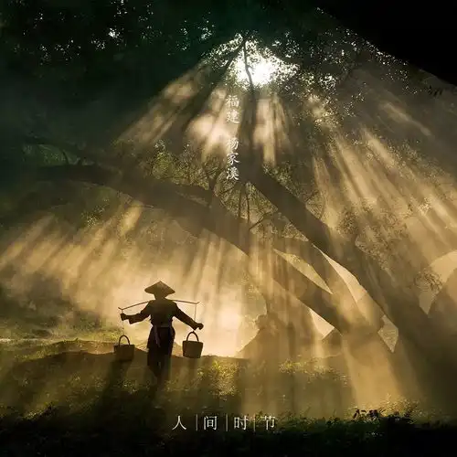 醉美东方美丽的中国二十四节气