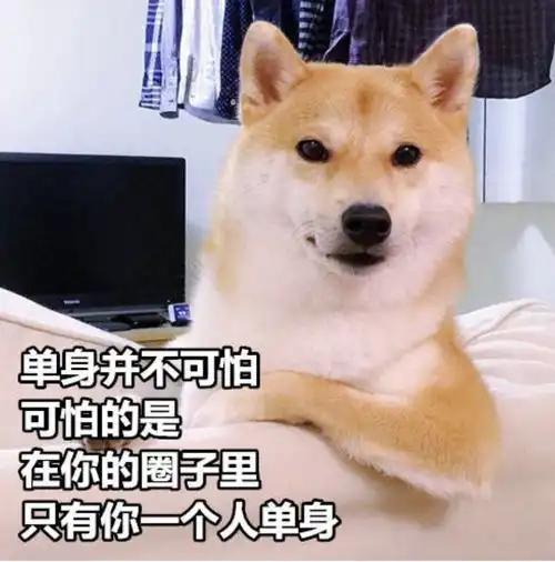 元旦这一天,正经的程序员是这么度过的