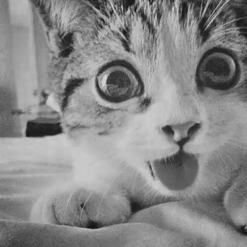 opencv入门读写图像读写像素修改像素值