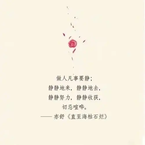 领悟用智慧开启人生每个阶段的美丽绚烂之花