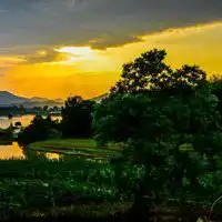 微信头像风景或花草图片大全微信头像图片大全