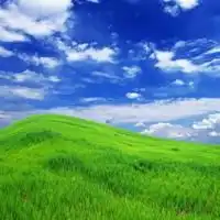 微信风景花草动物头像下载微信头像图片大全