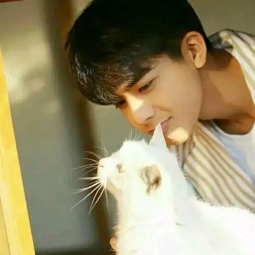 男生发快睡吧,回晚安太普通,小野猫教你撩爆他