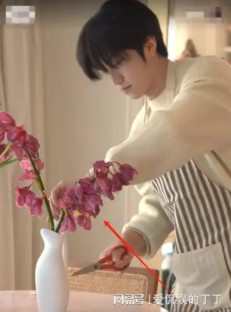 浙江28岁女子花8000请男保姆,长相帅气还洗衣做饭,声称理想生活