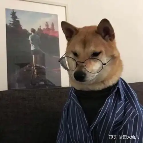 想生三胎,需要做什么准备