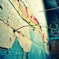 角落qq个性头像藏在角落里的美好