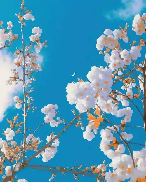 好听的文艺系唯美网名