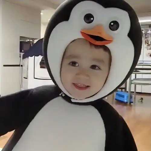 有没有四人组团头像,可爱画风的那种owo