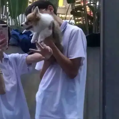 最新微信情侣头像新款微信情侣头像图片大全头像控