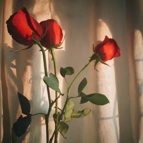 红色背景图,适合小年发的文案