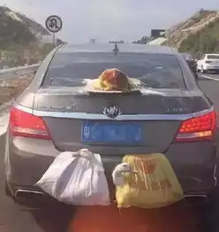 有一种爱,叫妈妈给装的后备箱