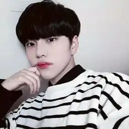 这个韩国小哥哥叫什么啊