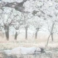 女生头像手拿白玫瑰你若不是真心我便不会珍惜意境小清新女生头像大全