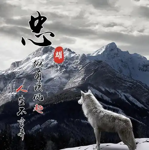 40张不同款式签名版微信头像,高清精致霸气3d立体特效,有你的吗