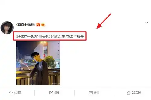 王乐乐套路璐旧情复燃发伤感文案疑表白,网友比160总裁强