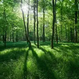 心盲症,你患病了吗