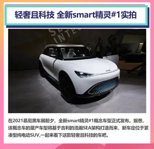 猛男最爱欧拉黑猫原因竟然是...