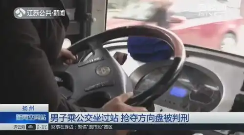 男子乘公交坐过站抢夺方向盘被判刑有期徒刑一年六个月