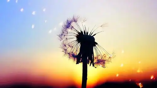 昨日渐多,明日愈少,此后经年,你会遇见谁