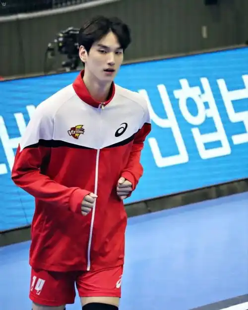 韩排球男神林成振神似金秀贤,虏获无数芳心网曝已有男友迷妹心碎