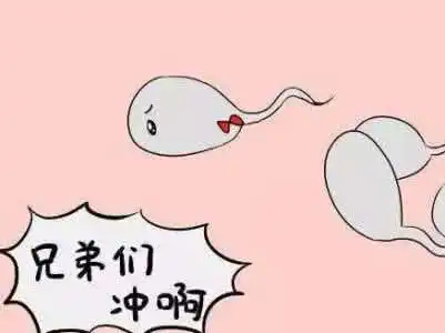 男性精子活力低,多吃这些食物,让你提高精子活力