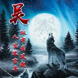 你有多久没换头像了,星空孤独狼姓氏微信头像,赶紧领走