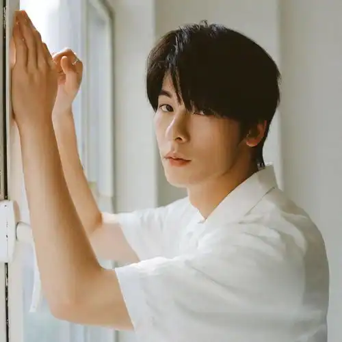 这波头像真好看